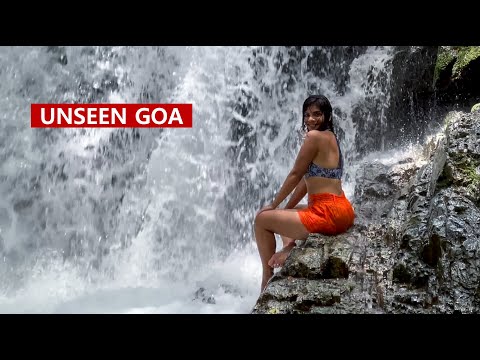Secret Waterfall in Goa (Scary Adventure) - Offbeat Paradise in the Biggest National Park of Goa