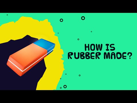 Interesting Fact About Trees | How Is Rubber Made