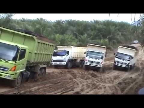 Isuzu Trucks around the World
