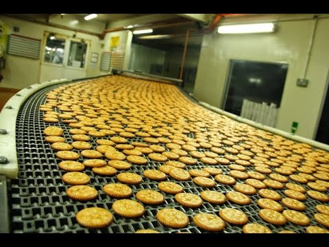 Crazy Food Processing Machine | Biscuit Processing machines