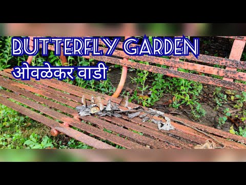 Butterfly Garden in Thane I Ovalekar Wadi I  Thane I Must Visit Place