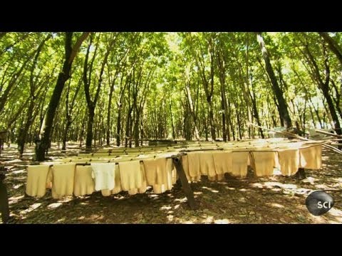 Natural Rubber | How It's Made