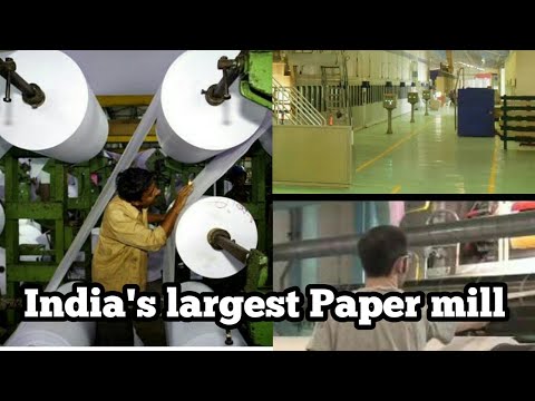 Andhra to get India's largest paper mill ||  भारत की सबसे बड़ी पेपर मिल
