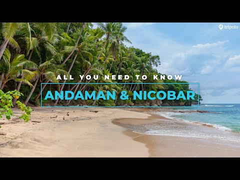 Andaman And Nicobar Islands: Best Hotels, Best Beaches, Things To Do, Food | Tripoto