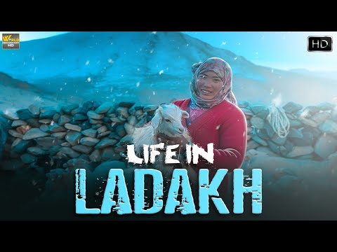 लेह लडाख में कैसे जिते है जीवन | Life In Ladakh | Indian Documentary