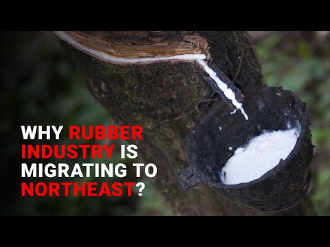 SMEF Reports: Why 120-year-old Rubber Industry is moving towards NE?