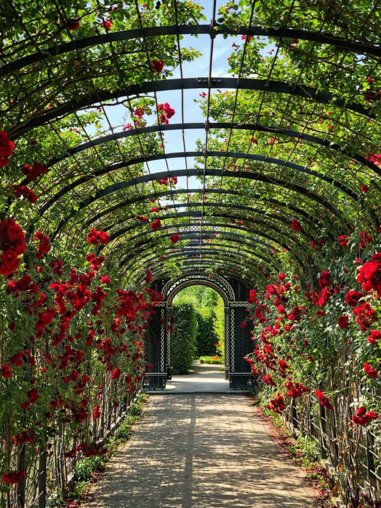 Gardens in India 