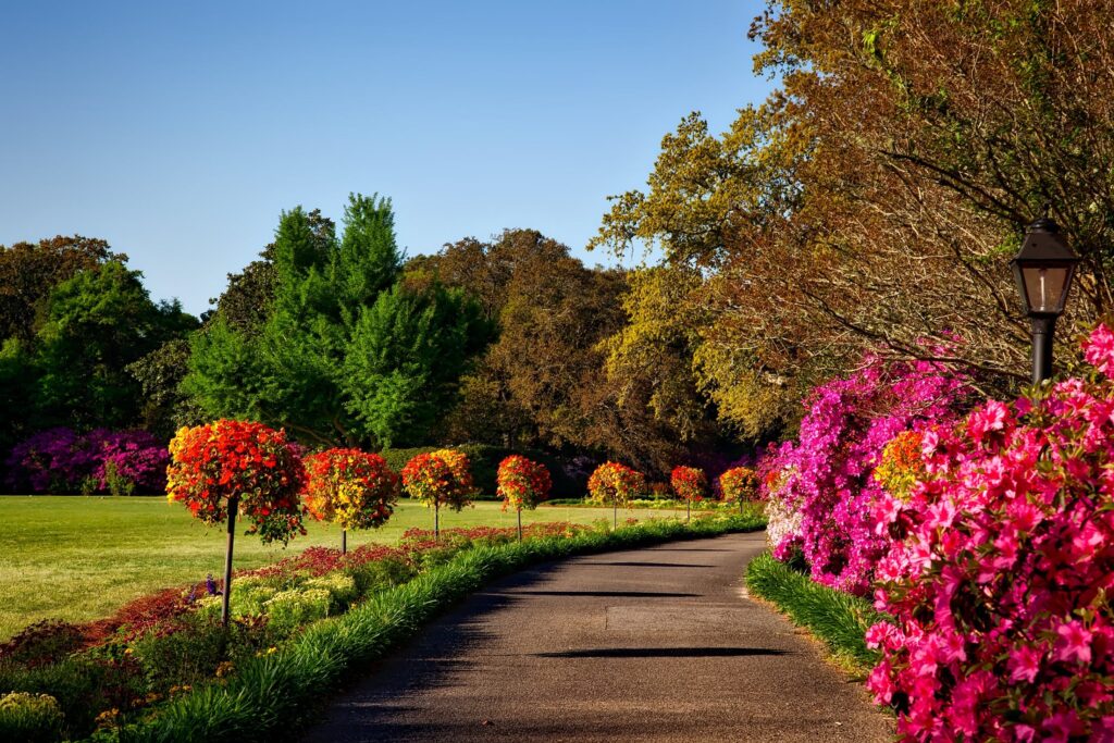 "Gardens of India: A Kaleidoscope of Colors and Cultures" 2