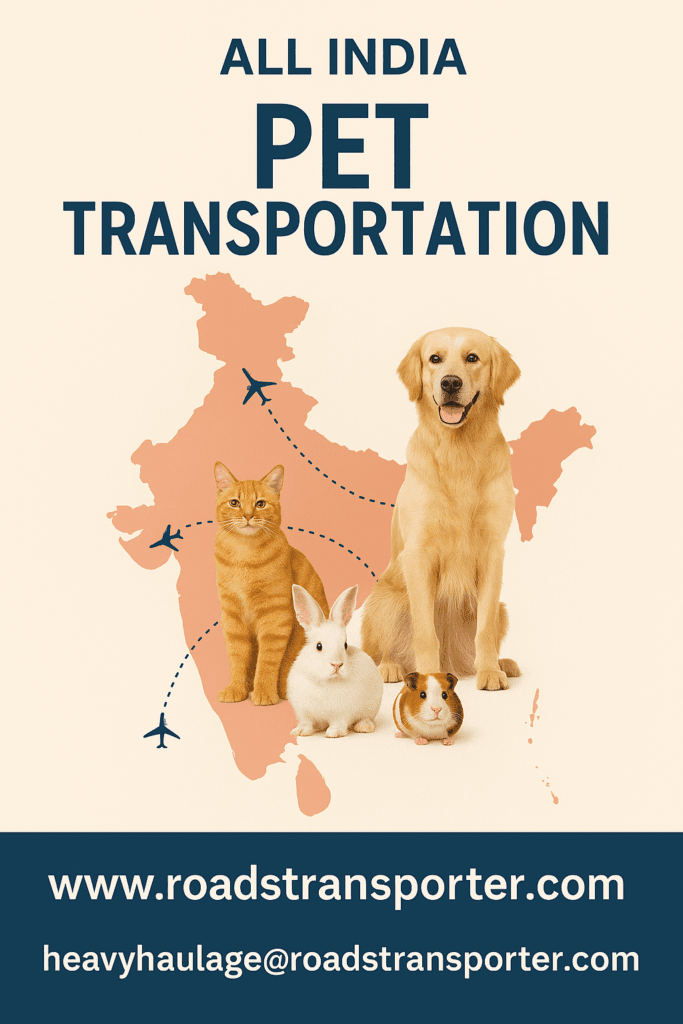 pet transportation