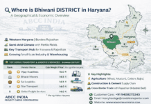 🚚 Best Transport Company in Bhiwani | Logistics & Cargo Services Bhiwani Transport And Logistics Company